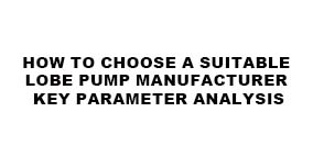How to choose a suitable Lobe Pump manufacturer Key parameter analysis