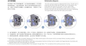 Performance comparison between double rotor pump (TU cam pump) and single rotor pump